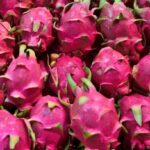 Çin topu hapı eczane sipariş hattı