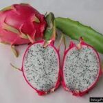 Kamagra 100 mg jel sürekli kullanılır mı